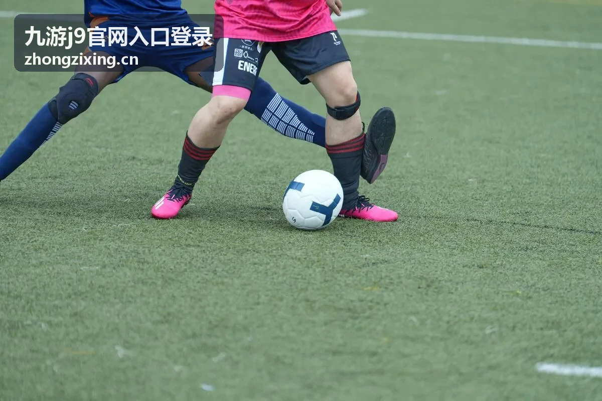 九游j9官网入口登录手机浏览器操作要点示意图